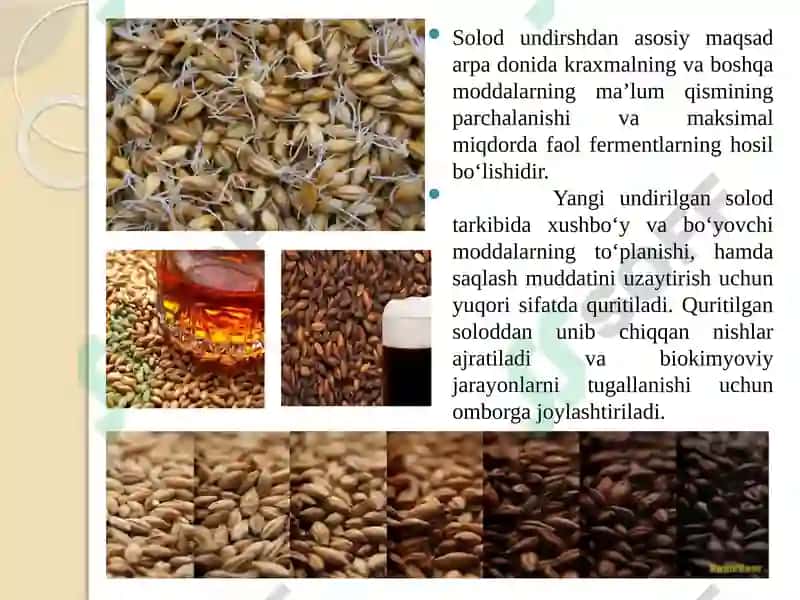 To`qsolod tayyorlash texnologiyasi 6