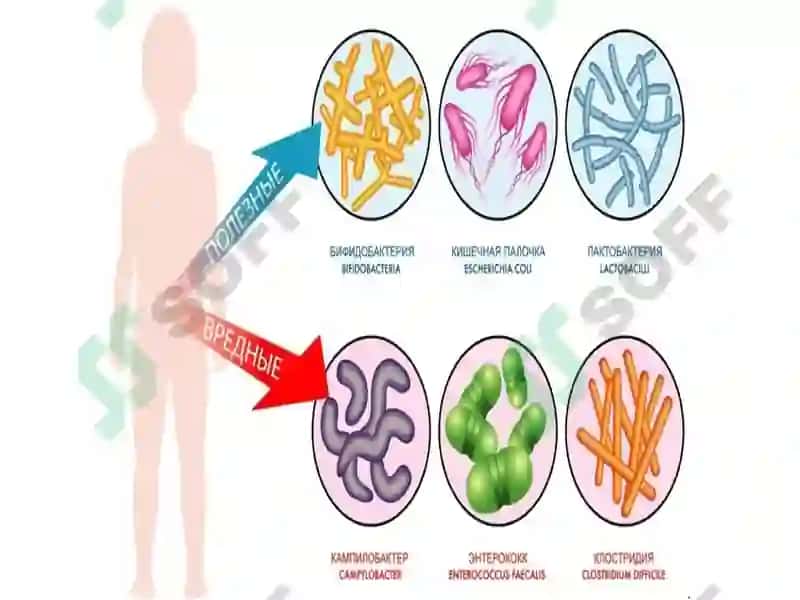 Disbakteriozning ta’rifi 6