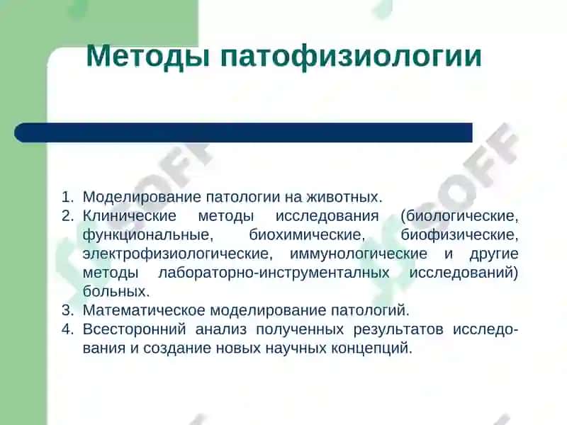 Введение в патофизиологию 6