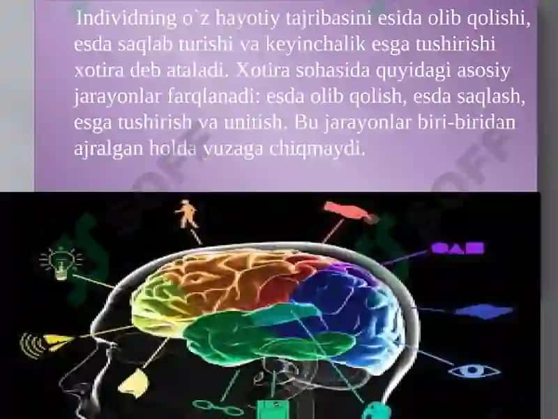Xotira haqida tushuncha 6