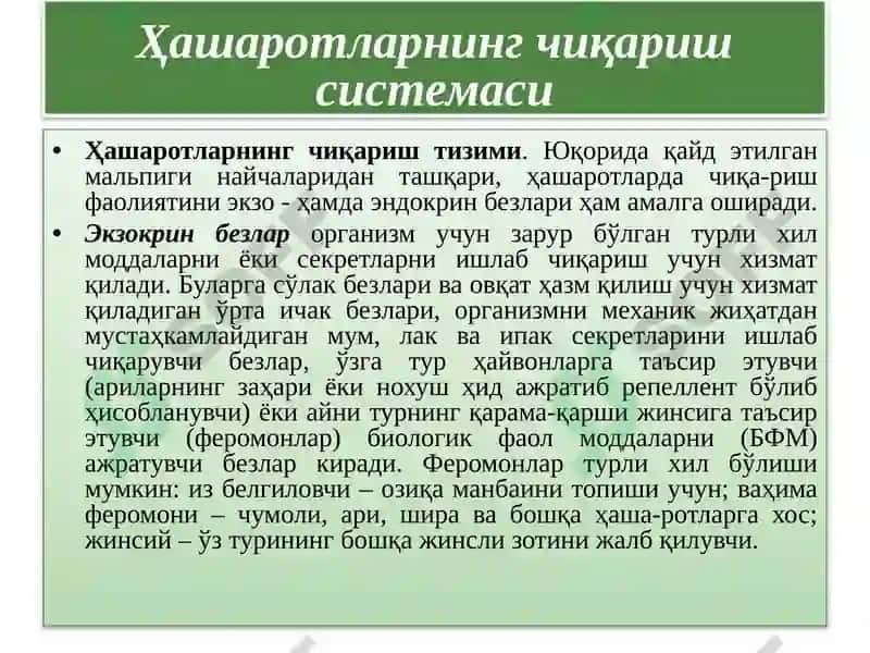 Ҳашаротларнинг овқат ҳазм қилиш тизими 6