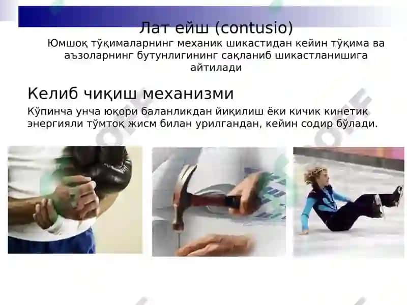 Шикастланишлар 6