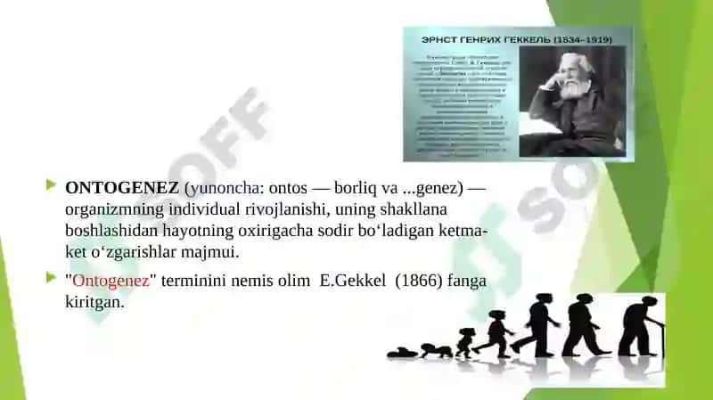 Rivojlanish psixologiyasi 6