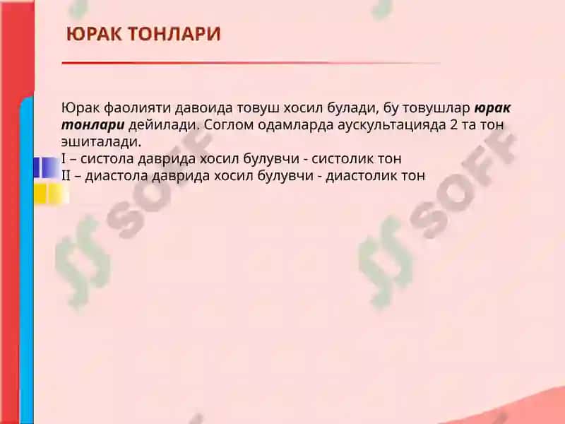 ЮРАК АУСКУЛЬТАЦИЯСИ 6