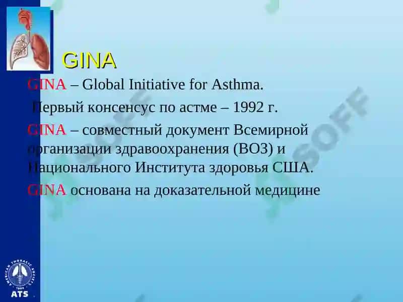 Бронхиальная астма 6