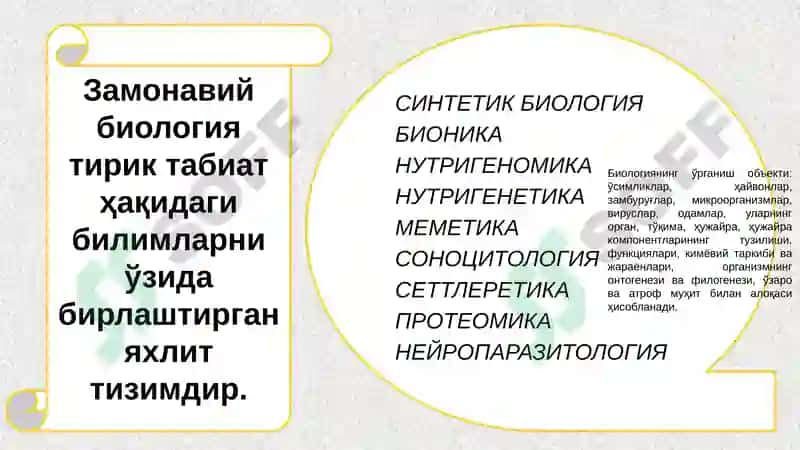Тиббий таълим тизимида биологиянинг тутган ўрни 6