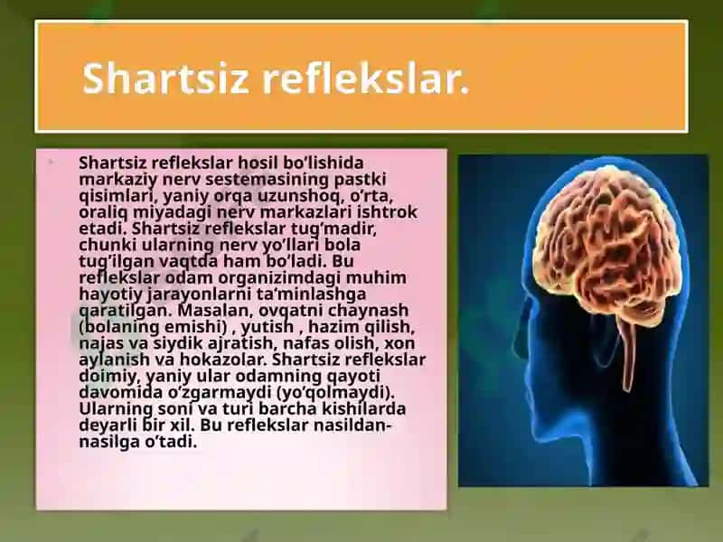 Yo'nalish refleksiya 6