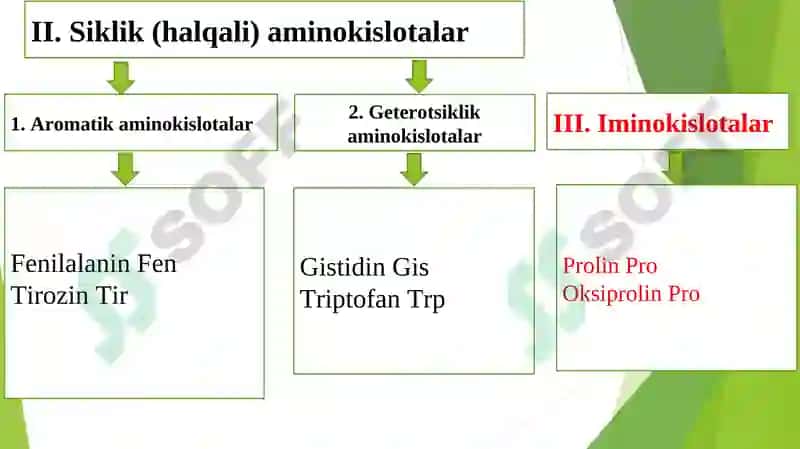Oqsillar strukturasi, klassifikatsiyasi 6