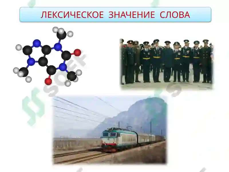 АНАГРАММА 6