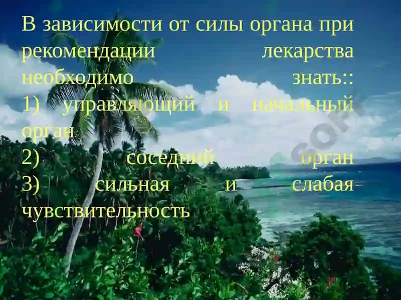 Кафедра ЮНЕСКО «Восточная медицина» 6