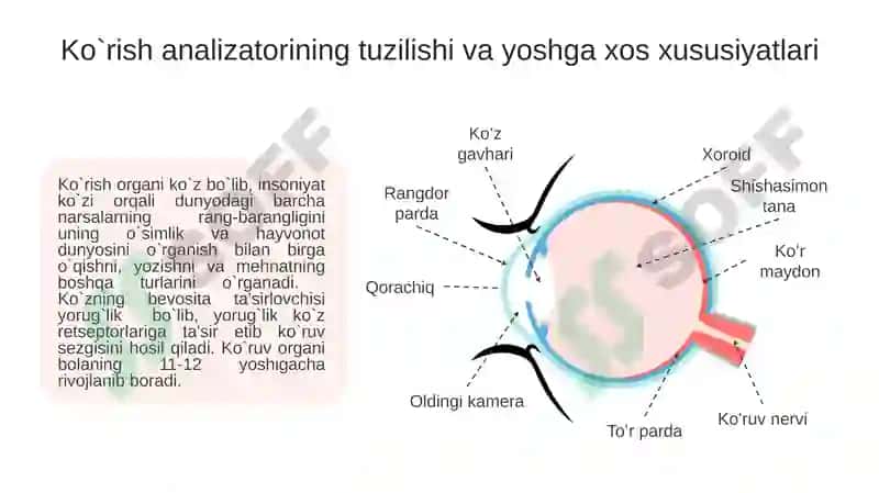 Analizatorlar haqida tushuncha 6