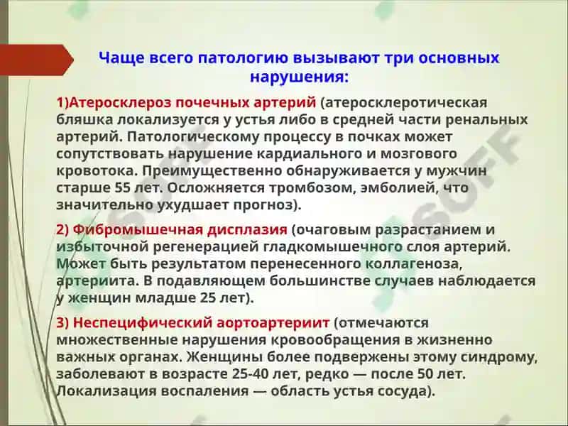 Вазоренальная гипертензия 6
