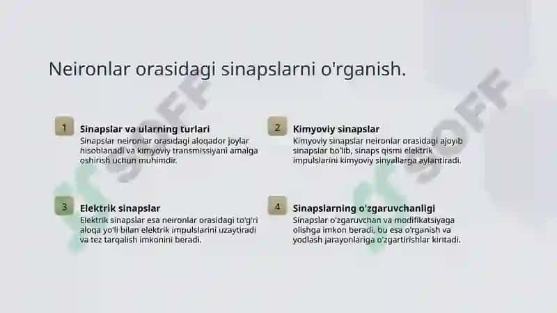 Xotira va sinapslar 6