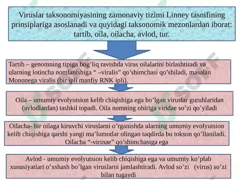 Virusologiya 6