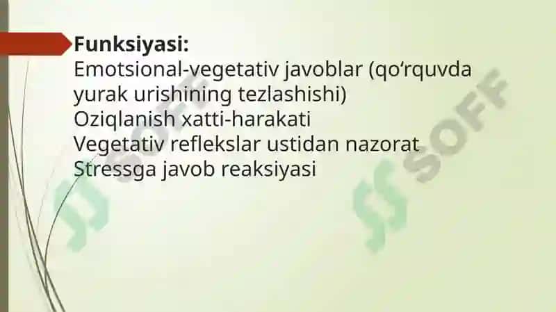 Vegetativ o‘liy markazlar va ularning funksional ahamiyati 6