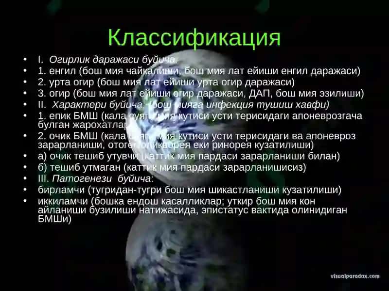 Бош мия шикастланишлари 6