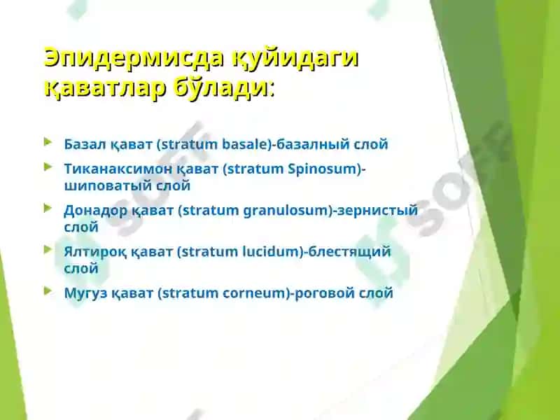Дерматовенерология кафедраси 6