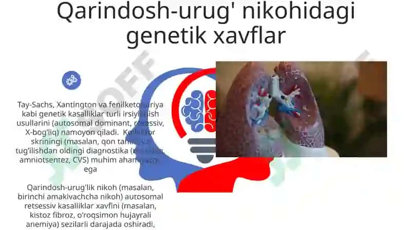 Mc_Senoritta 6