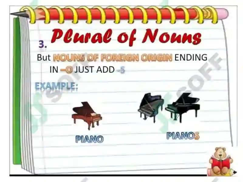 Plural of Nouns 6