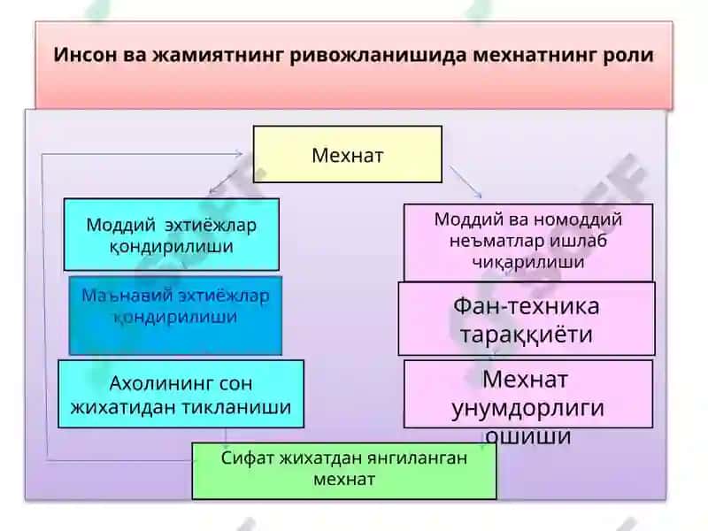 МЕҲНАТ ИҚТИСОДИЁТИ 6