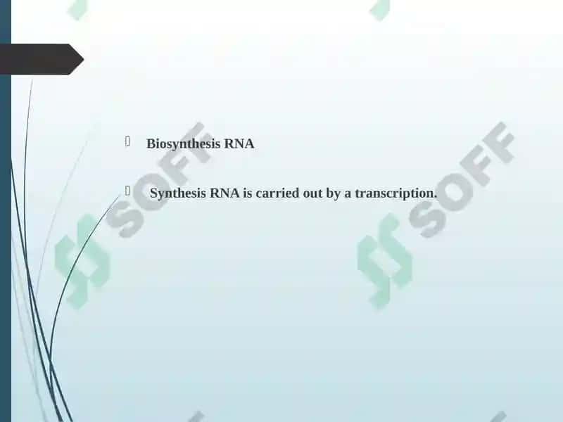 Nuklein kislotalar biosintezi 6