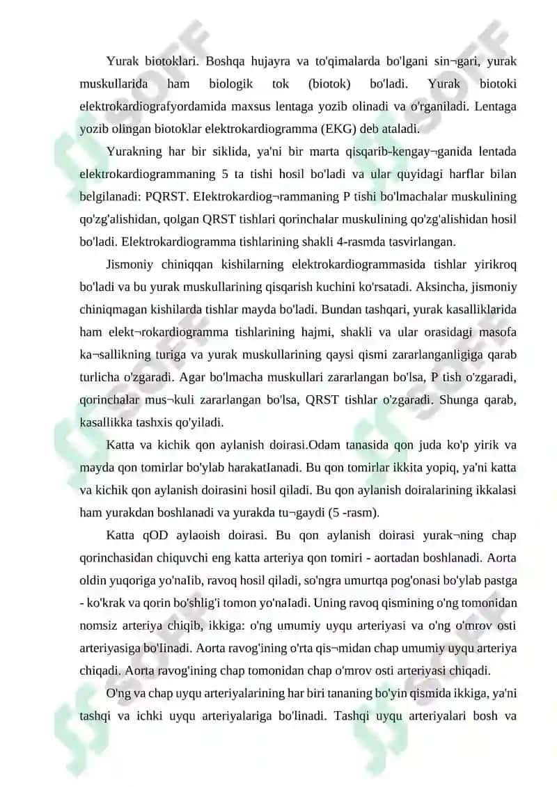 YURAK QON TOMIR GISTOLOGIYASI 6