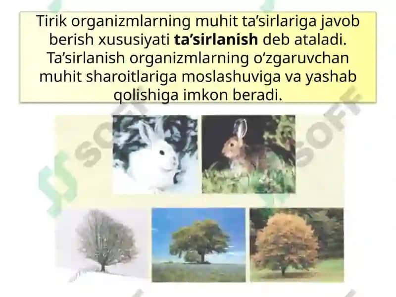 TIRIK ORGANIZMLARNING TA’SIRLANISHI 6