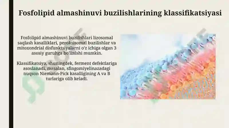 Fosfolipidlar almashinuvi buzilishi 6