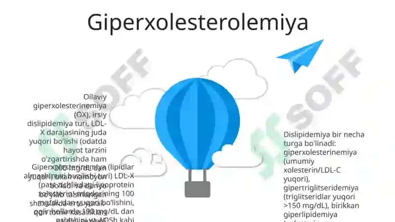 Dislipoproteinemiya turlari 6