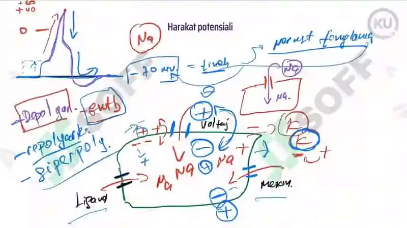 Tinchlik potensiali 6