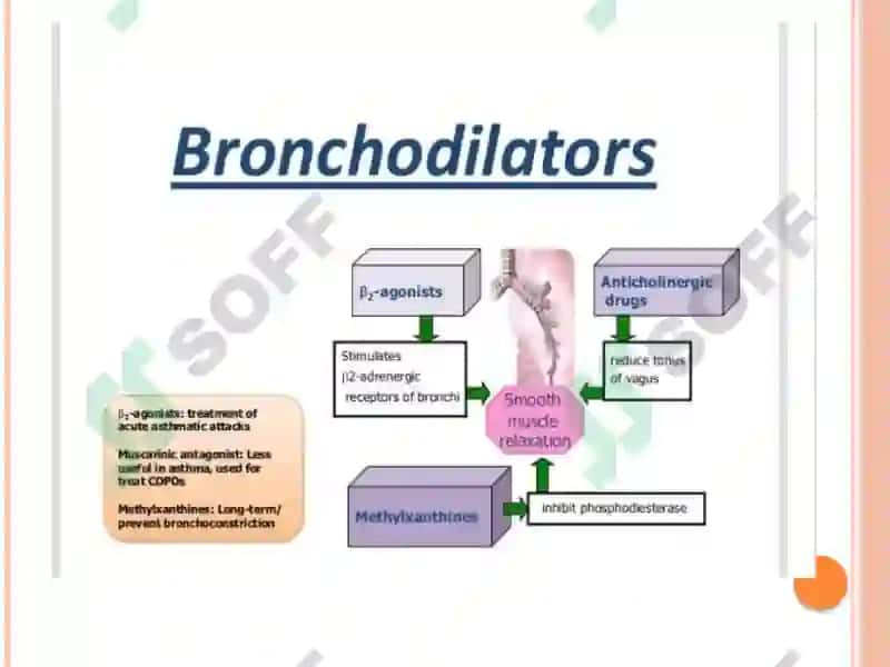 Bronxial astma davosi 6