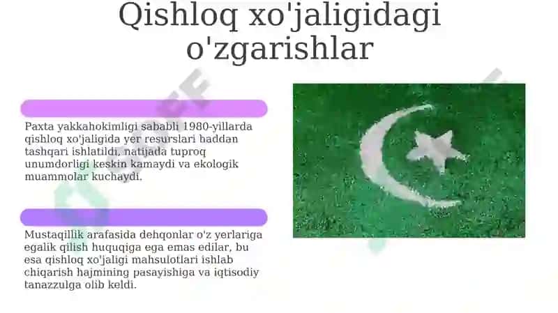 Mustaqillikka erishish arafasida O'zbekistondagi ijtimoiy iqtisodiy jarayonlar 6