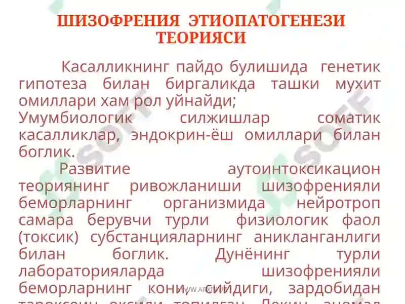 Шизофрения 6