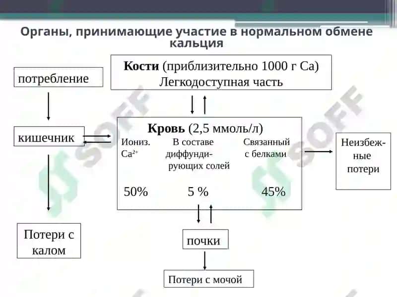 Заболевания паращитовидных желез. Гипер- и гипопаратиреоз. 6