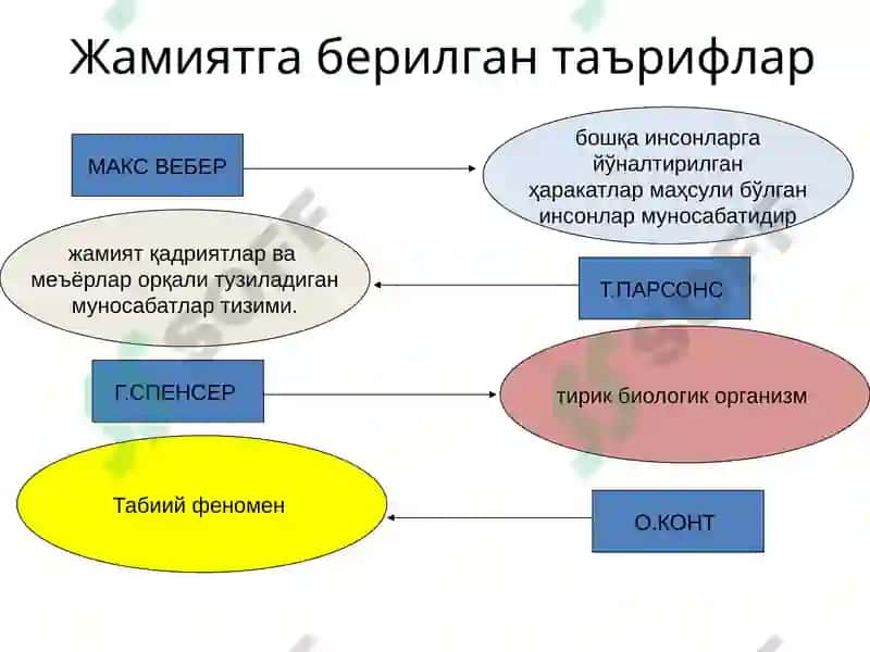 Jamiyat falsafasi va inson borlig‘i 6