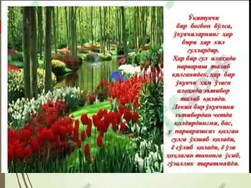 Педагогикаатамаси 6