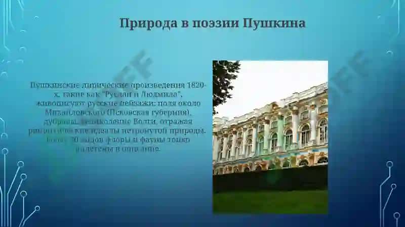 Лирика и творчество А.С. Пушкина 6