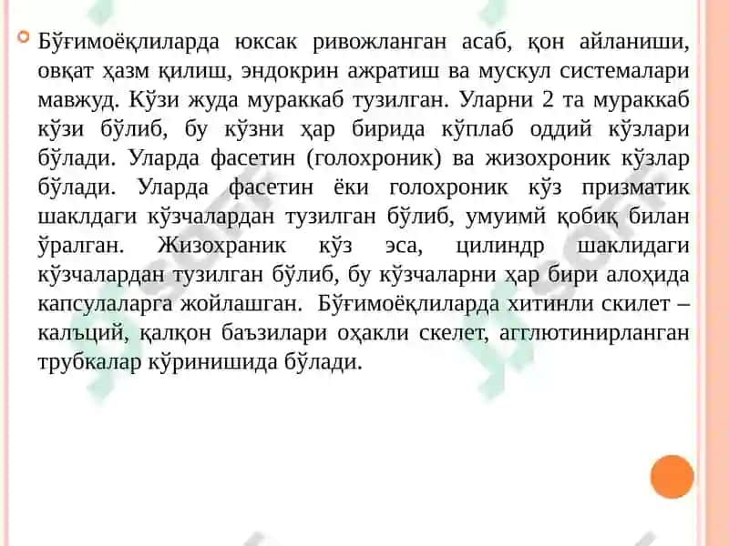 Халқали чувалчанглар тури 6