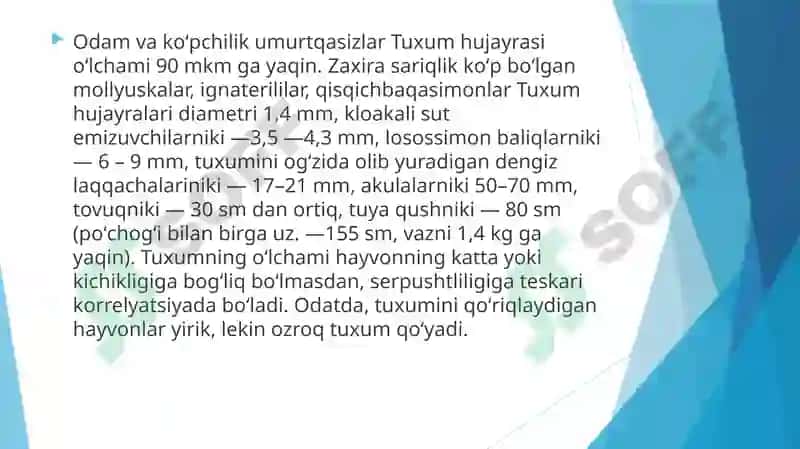Tuxum hujayrasining qobiqlari, ularning shakllanishi 6