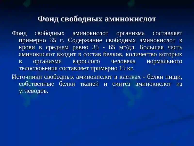 Обмен белков и аминокислот 6