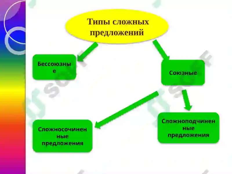 Сложное предложение 6