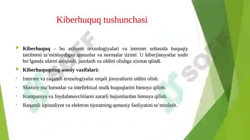 Kiberjinoyat va kiberhuquq. 6