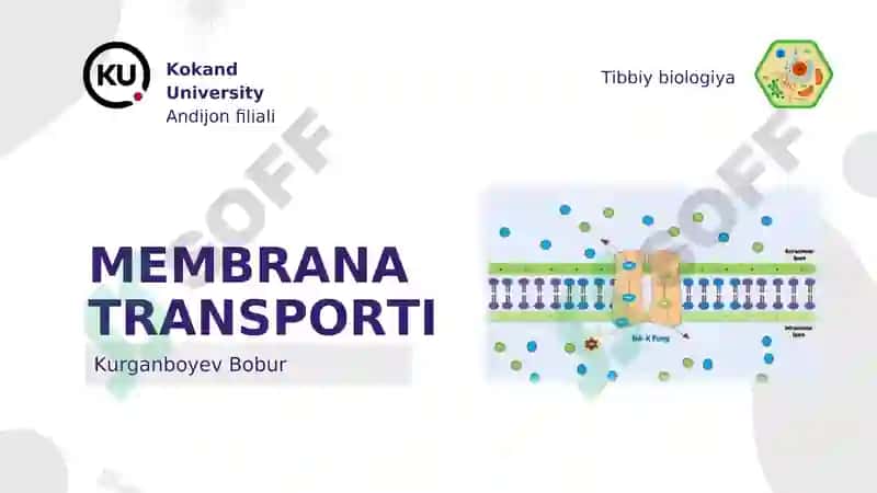 Hujayra membranasi 6