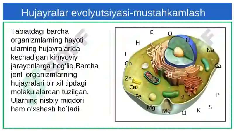 Hujayralar evolyutsiyasi-mustahkamlash 6