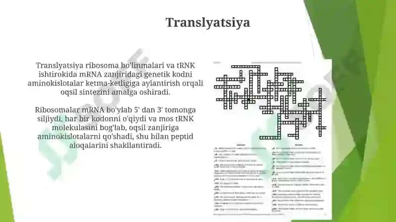 DNKstrukturasivareplikatsiyasi.Oqsilbiosintezi 6