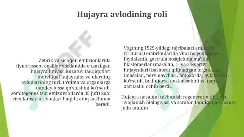 Vogtning Eksperimental Loyiha va Uslublari 6