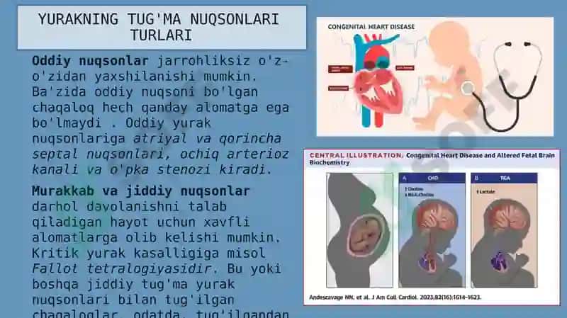 Yurakning tug'ma nuqsonlari 6