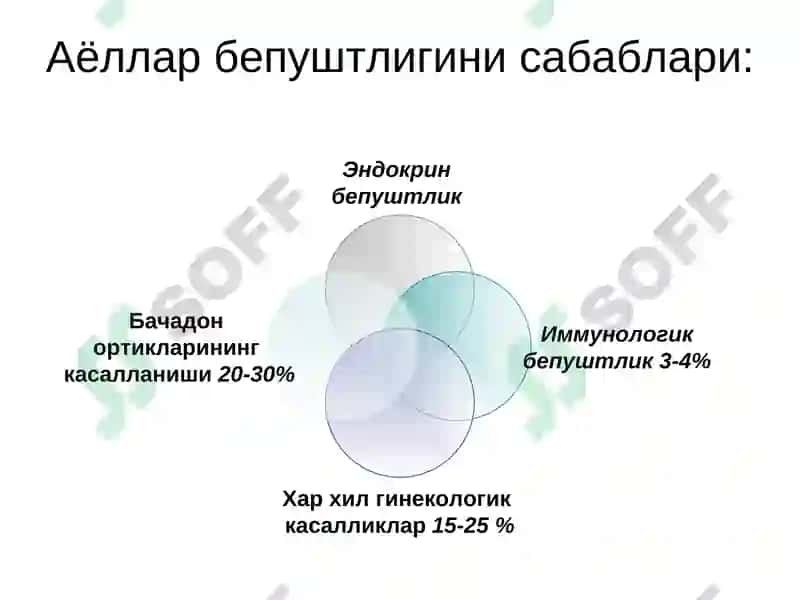 Бепуштлик 6