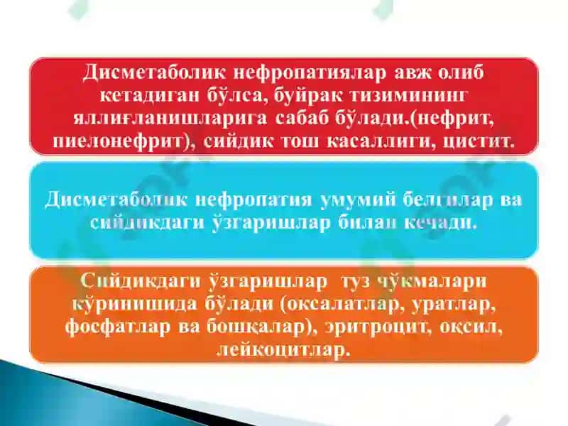 Моддалар алмашинуви ва касалликлари 6