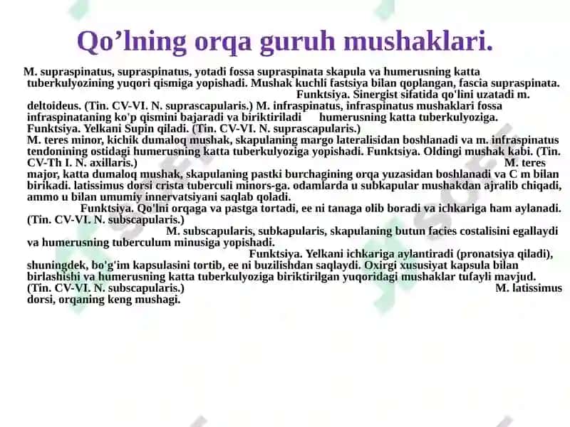Qo‘l muskullari 6